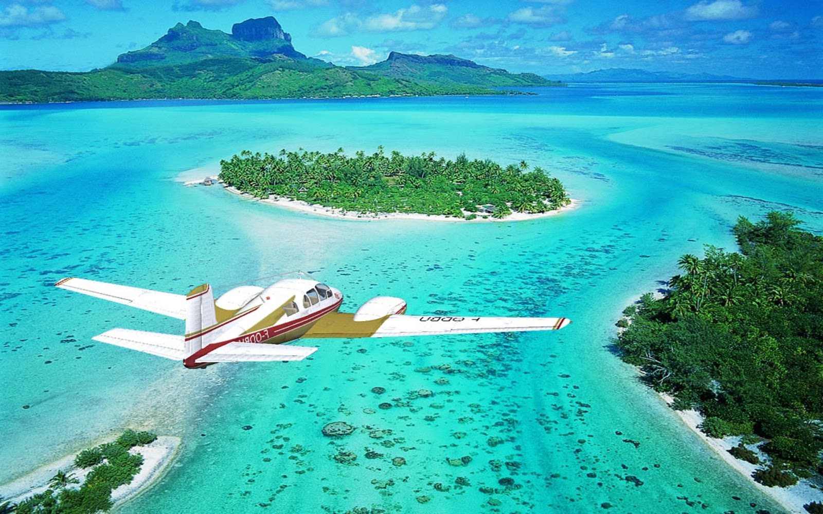 Незабываемый отдых в Полинезии 2017-2018 с Арт-Макс