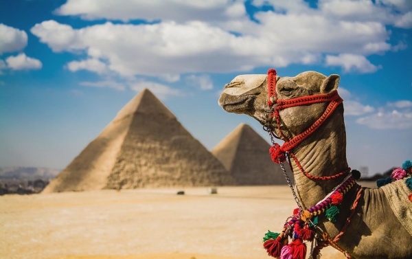 Туры в Египет из Краснодара: горящие путёвки, цены–2017